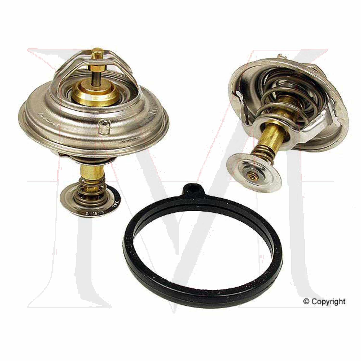 THERMOSTAT W/ SEAL